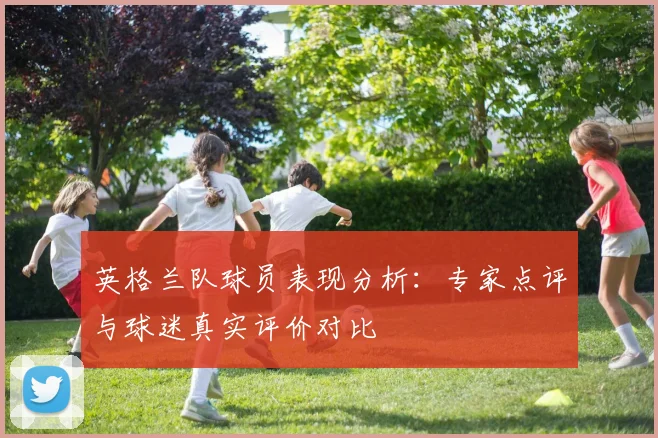 英格兰队球员表现分析：专家点评与球迷真实评价对比